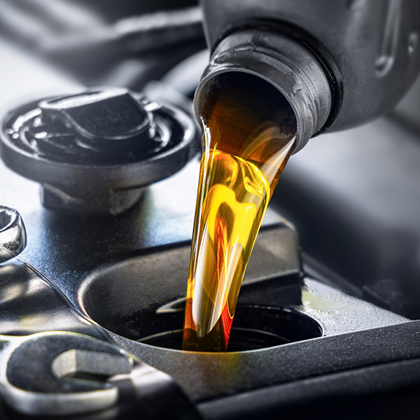 After changing the oil, pour in the fresh engine oil